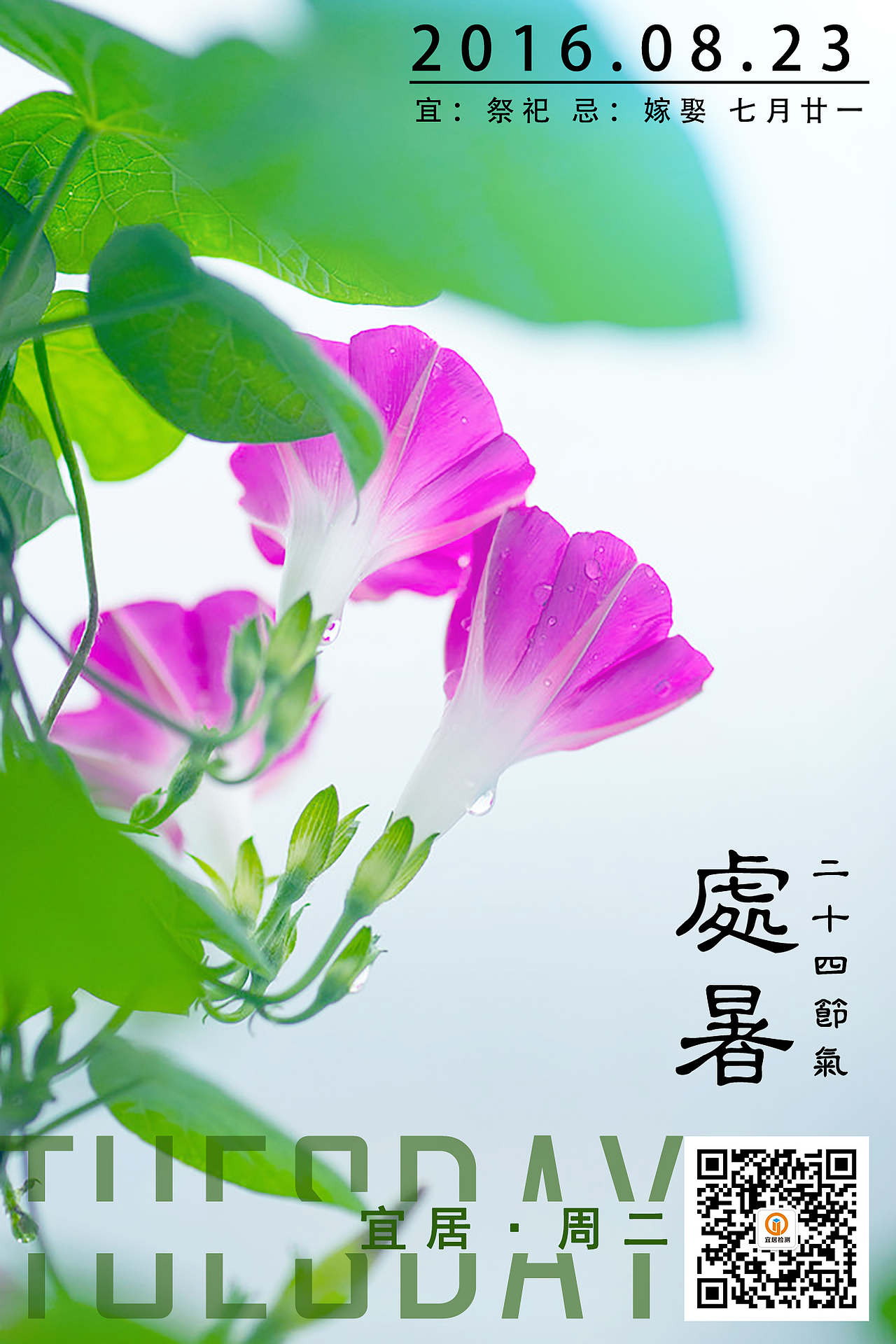 二十四节气（图ZNjM0MjQxNDQ=） - 海报 - 站酷设计师上官龙晨原创素材 - 站酷ZCOOL