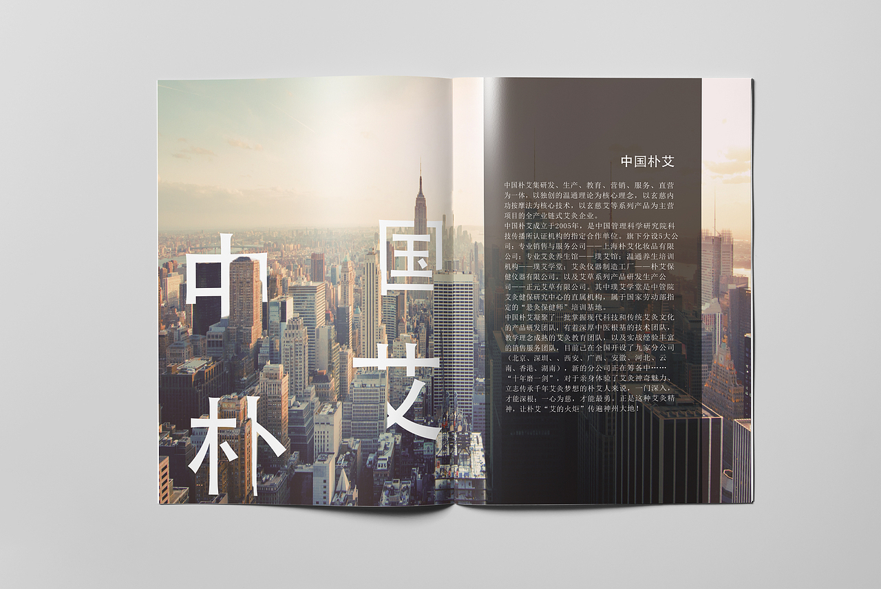 企业画册（图ZOTMzNTIwMDA=） - 书籍/画册 - 站酷设计师扶老奶奶闯红灯原创素材 - 站酷ZCOOL