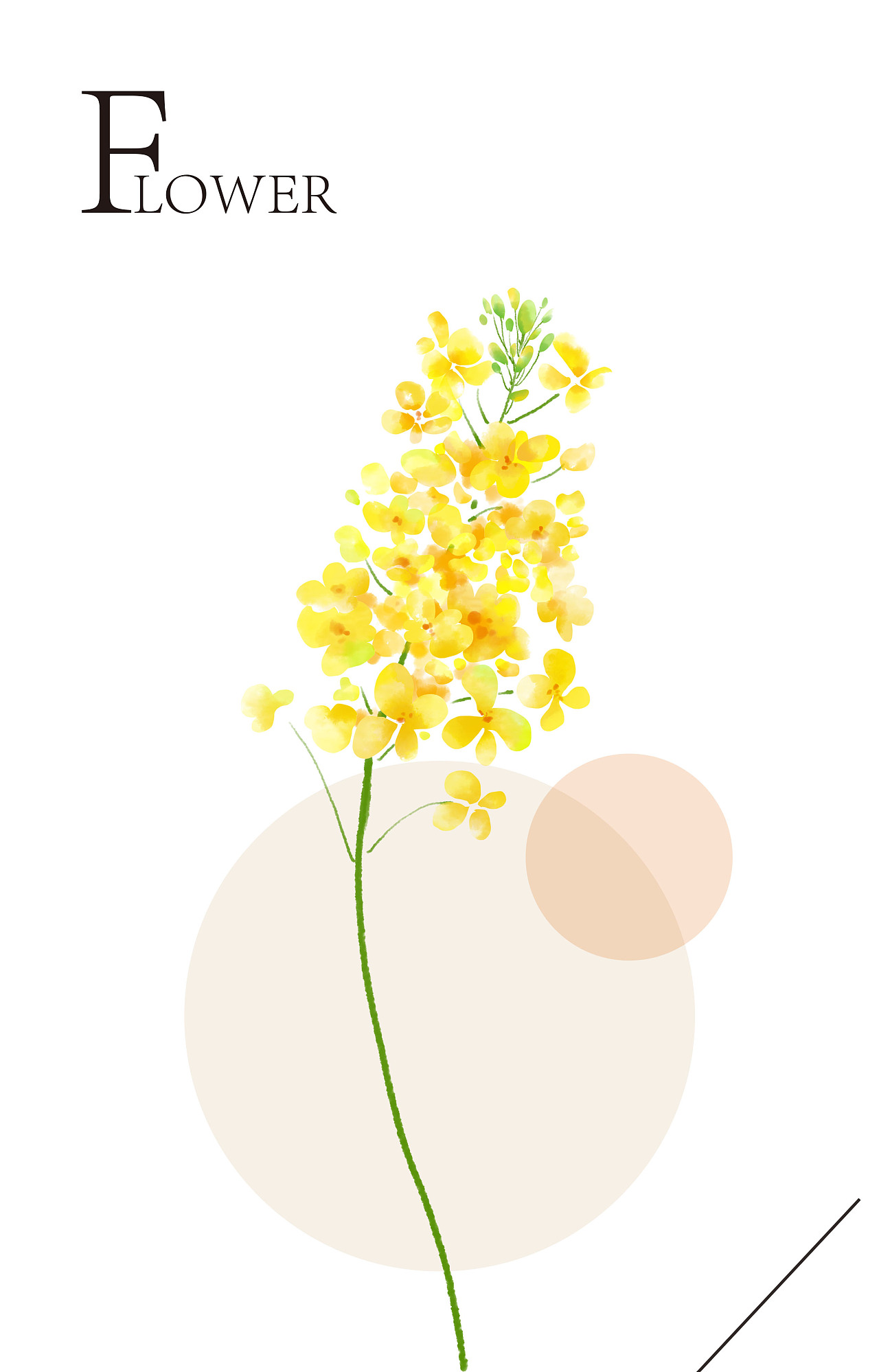 有时三点两点雨,到处十枝五枝花|插画|创作习作|少爷wjh - 原创作品