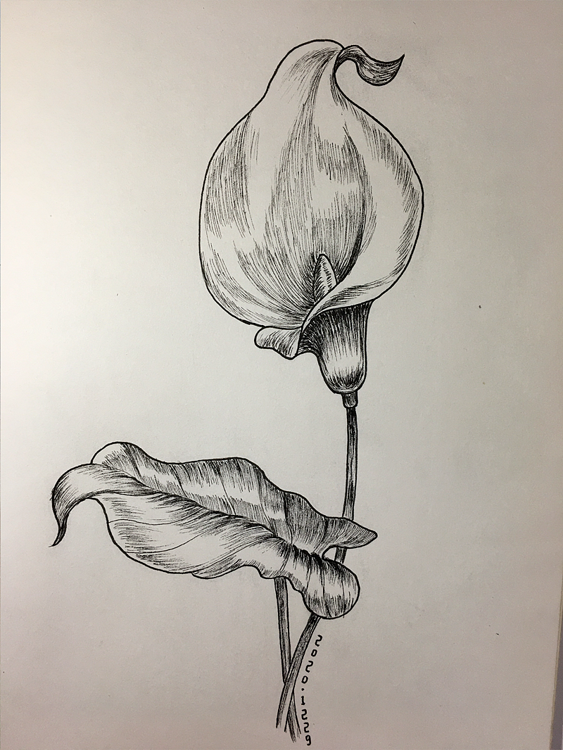 针管笔系列临摹-花-20201229