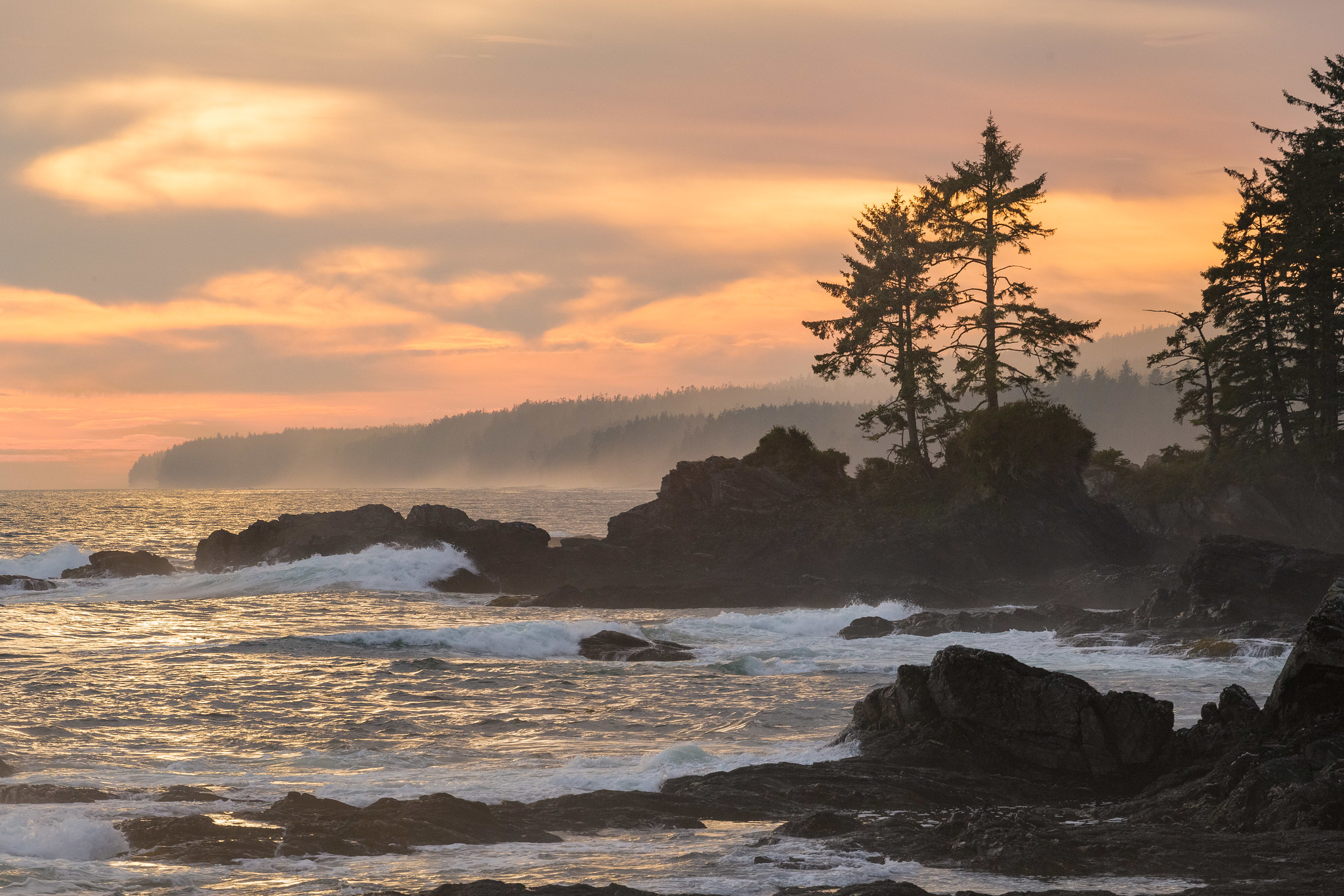 铭de轩的个人主页（封面预览） - 主页封面设置 - 站酷设计师铭de轩原创素材 - 站酷ZCOOL