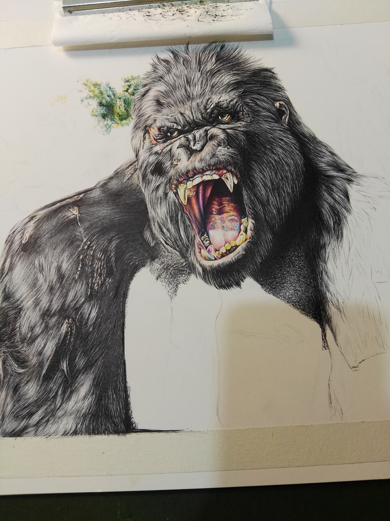 第二十幅彩色圆珠笔作品大猩猩金刚