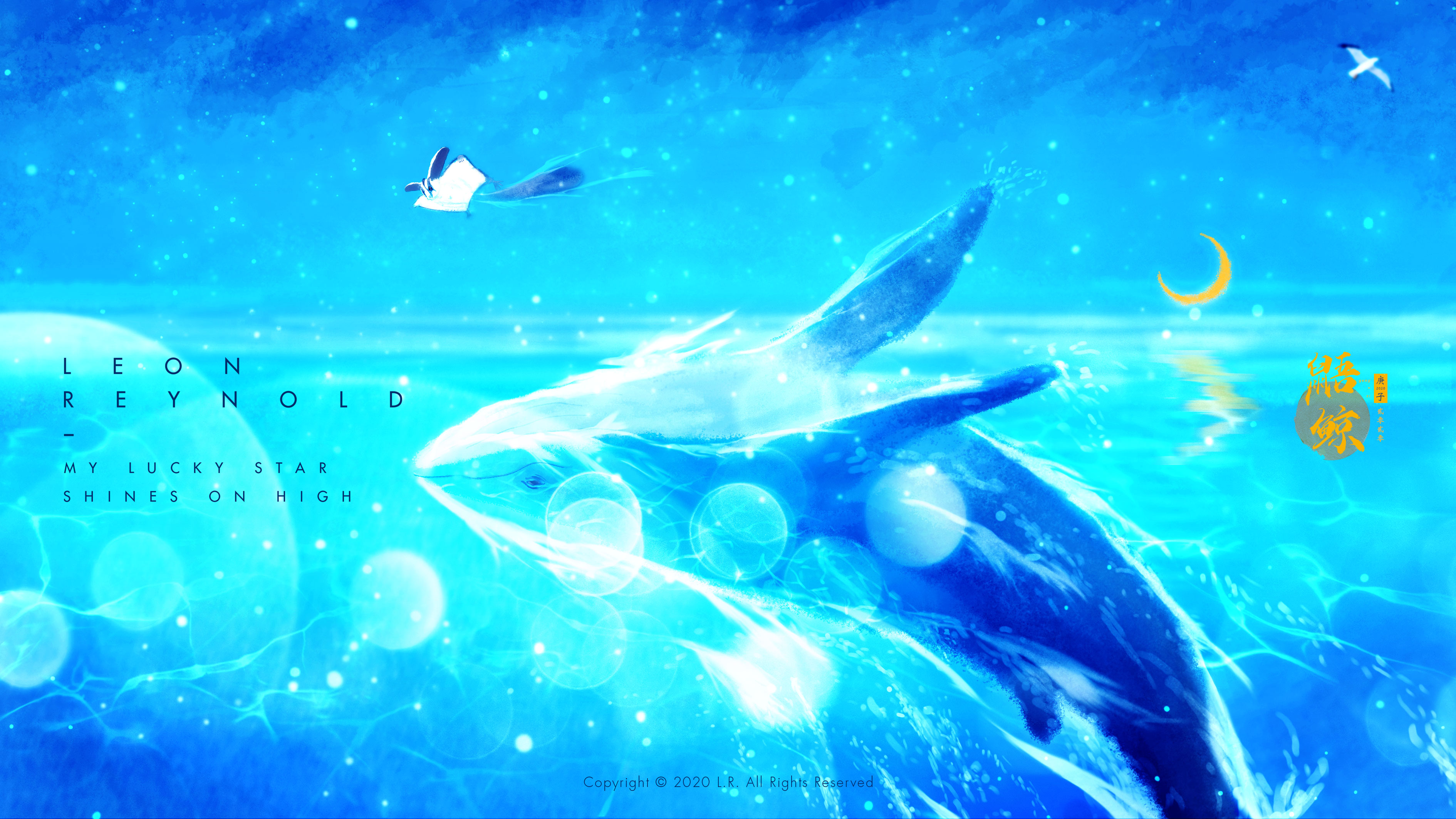【爱 / 52hz】 52赫兹的鲸鱼爱丽丝的故事