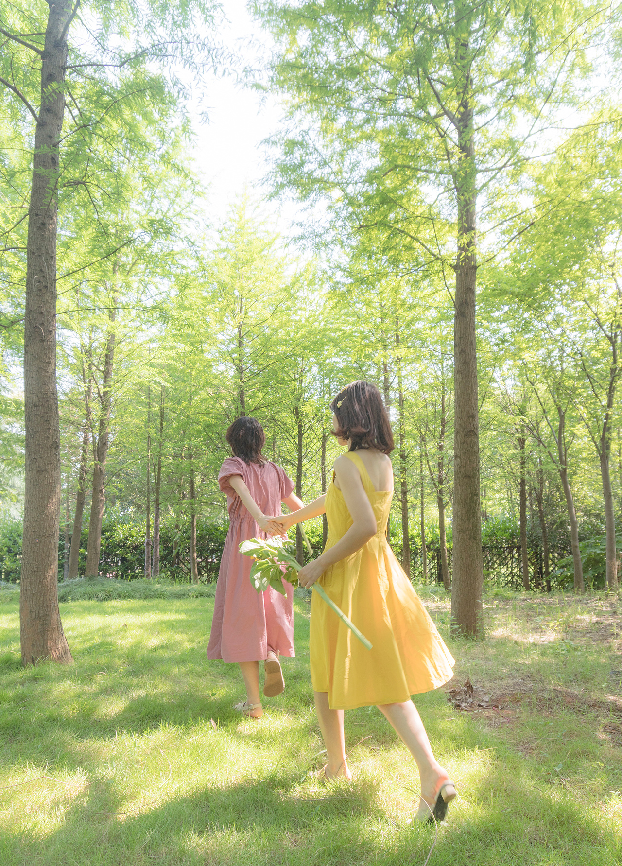 这个夏天,和你一起