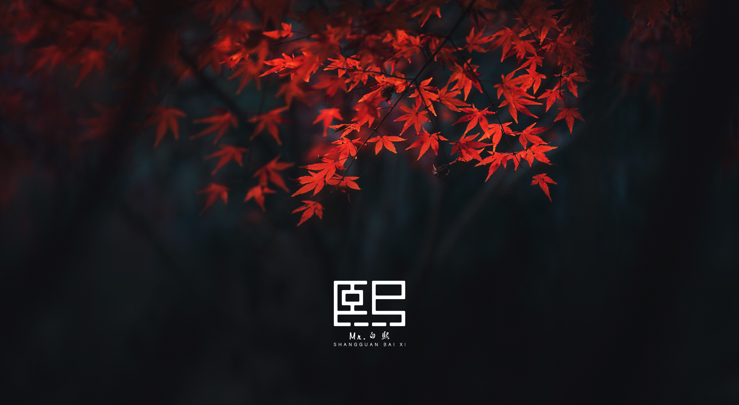 白熙的个人主页（封面预览） - 主页封面设置 - 站酷设计师白熙原创素材 - 站酷ZCOOL