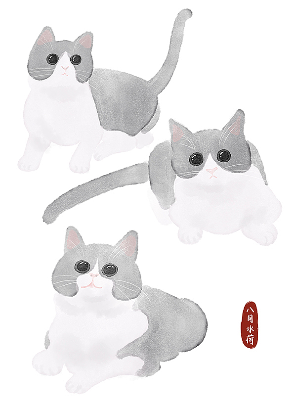 24只可爱到想咬一口的蓝白猫|插画|创作习作|八月水荷_原创作品-站酷