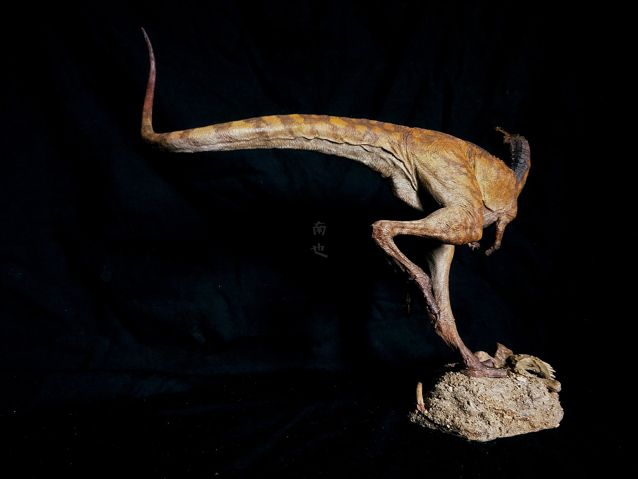 涂装作品丨野火矮暴龙