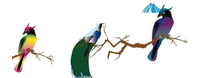 达度文化创意团队-原装进口来自巴布亚新几内亚高山的有机咖啡（图ZMTc3NzI0MDQ=） - 包装 - 站酷设计师悟设原创素材 - 站酷ZCOOL