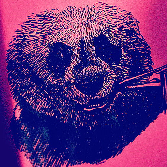 熊猫君（图ZMzk3ODg0ODQ=） - 创作习作 - 站酷设计师否极恩泰来原创素材 - 站酷ZCOOL