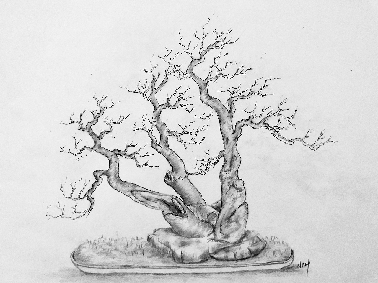 手绘盆景设计图（图ZMTU3NzcyNTc2） - 像素画 - 站酷设计师Z75835907原创素材 - 站酷ZCOOL