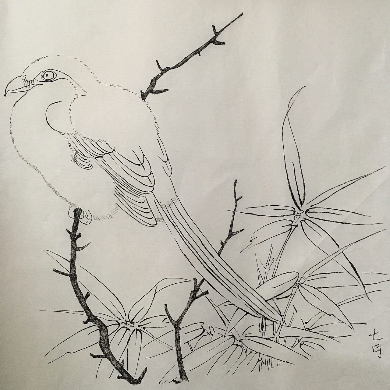 工笔白描（图ZNjU5NDYxNzI=） - 绘画 - 站酷设计师喃七月原创素材 - 站酷ZCOOL