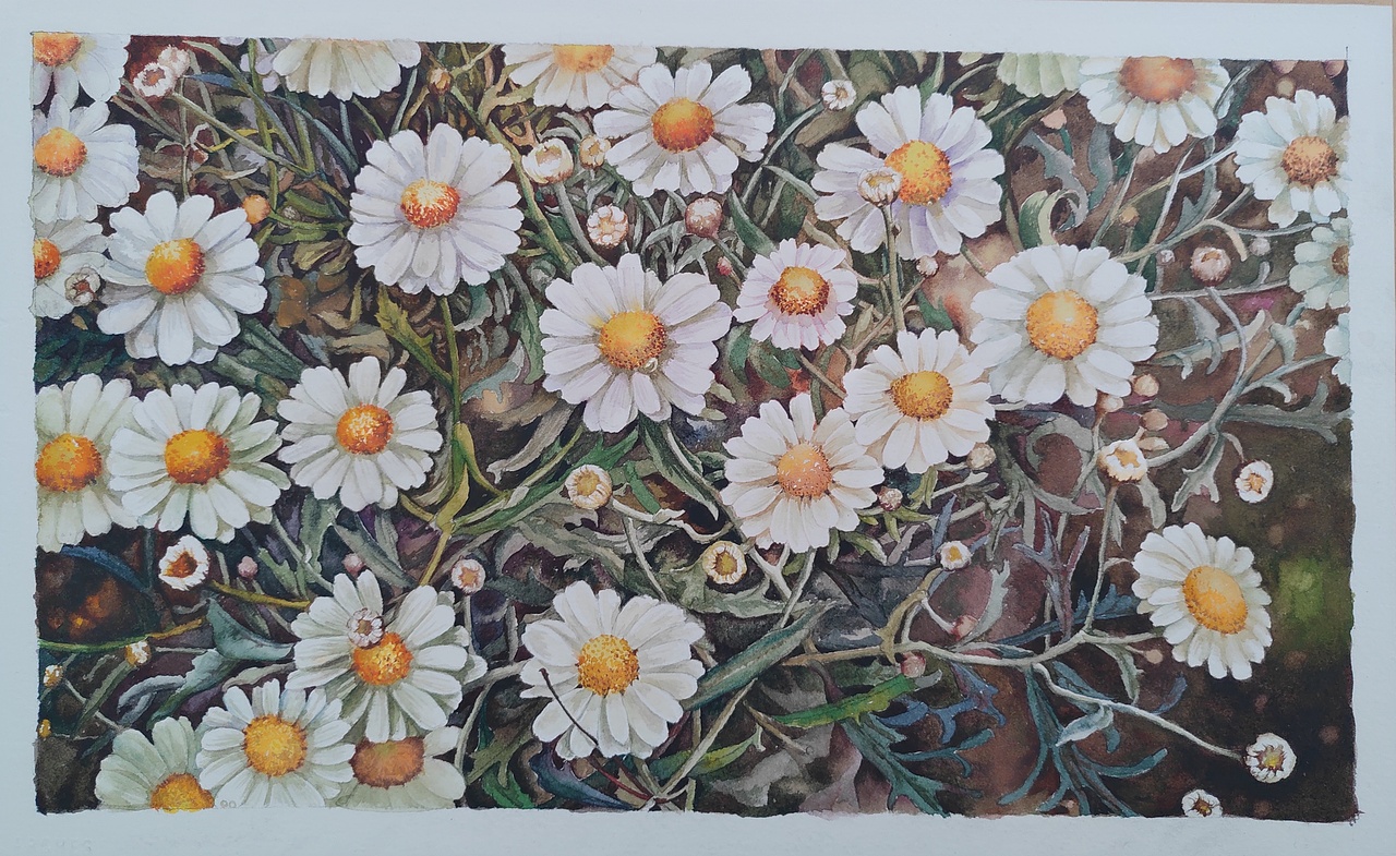 淡如菊（图ZMTQ5MzU5ODg4） - 绘画 - 站酷设计师江书灵原创素材 - 站酷ZCOOL