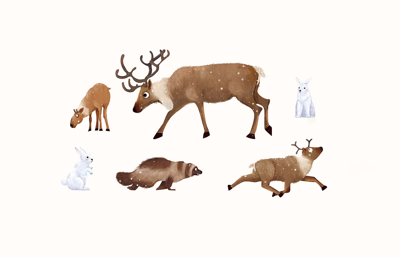 极地动物杂志科普（图ZMTg3ODY0MDUy） - 商业插画 - 站酷设计师WQqian原创素材 - 站酷ZCOOL