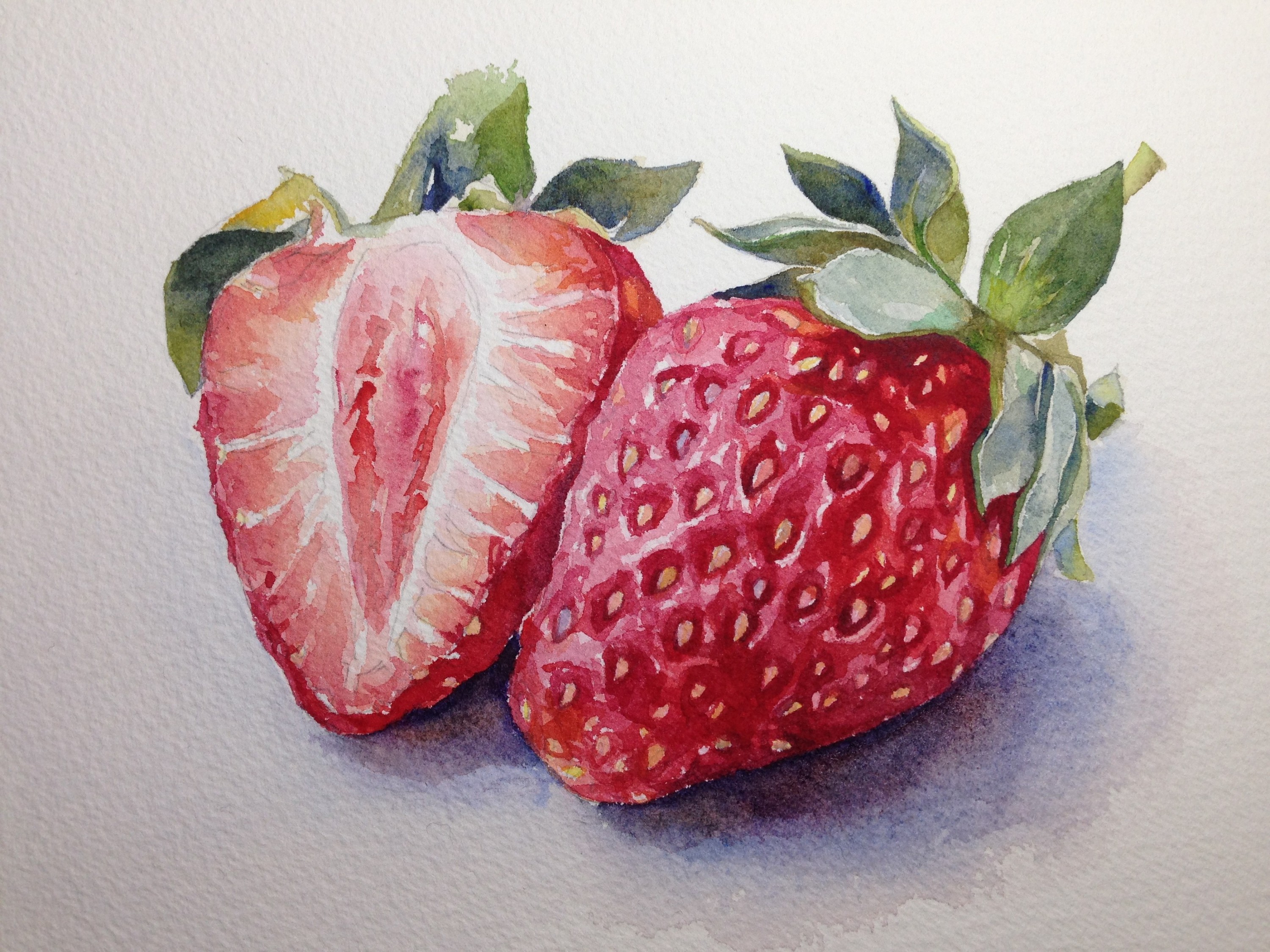 水彩草莓 画法图片