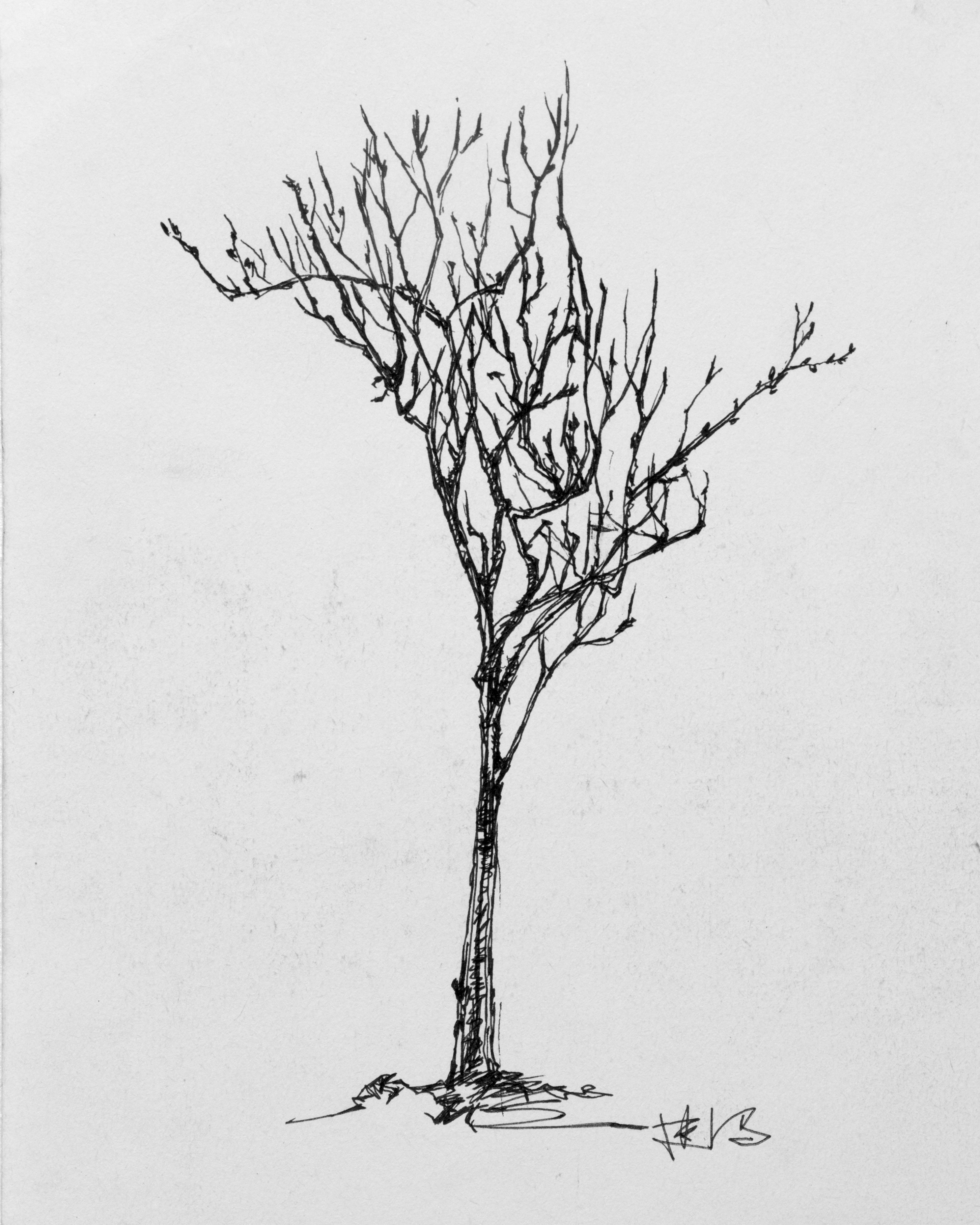 《关于家乡》(速写组图)