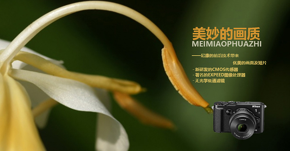 相機banner（圖ZMTg3ODE4NjQ4） - 其他UI - 站酷設(shè)計師婷婷呢原創(chuàng)素材 - 站酷ZCOOL