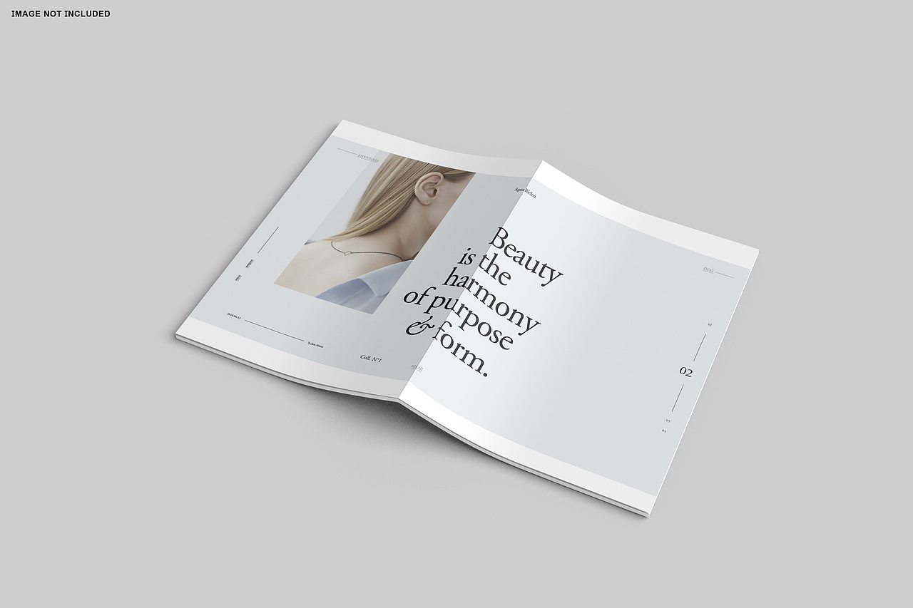 书籍画册样机系列(十)