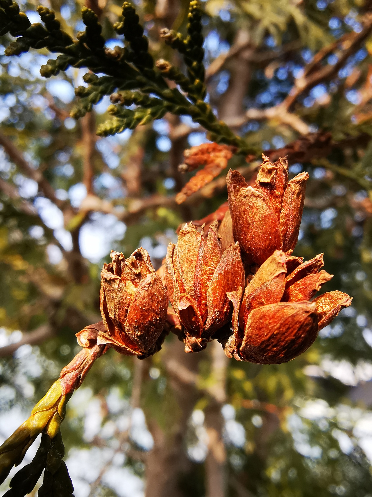 努力发现生活中的美