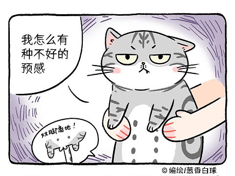 《葱花香菜不加辣》第六话 变身日记