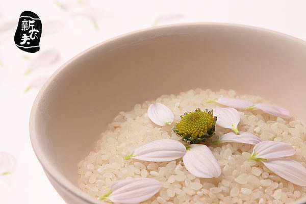 新农夫logo重设计