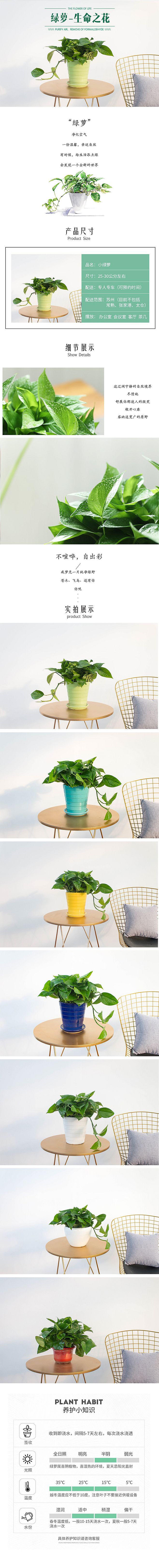 绿植网页（图ZMjQ1ODg2OTQ4） - 电商 - 站酷设计师黎璃狸原创素材 - 站酷ZCOOL