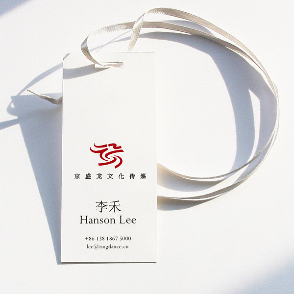 京盛龙（图ZMzE5NDY4MA==） - Logo - 站酷设计师vinic原创素材 - 站酷ZCOOL