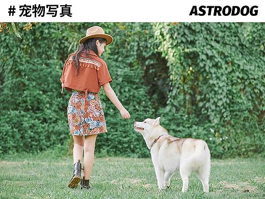 太空狗宠物摄影 哈士奇满天星