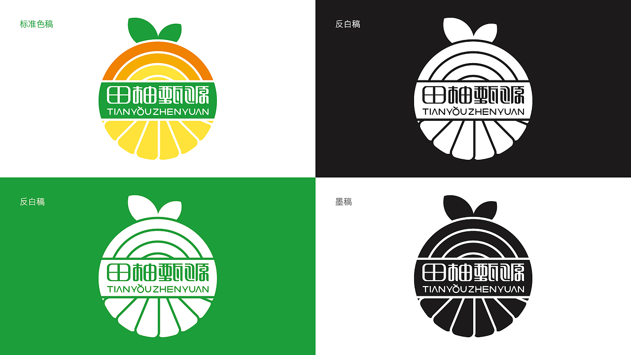 田柚甄源logo设计提案-飞机稿（图ZMTc1MTY1OTcy） - Logo - 站酷设计师黑璞设计原创素材 - 站酷ZCOOL