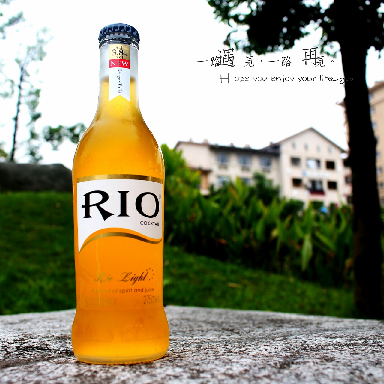 rio鸡尾酒|摄影|产品摄影|会唱歌的小摄影 - 原创作品 - 站酷 (ZCOOL)