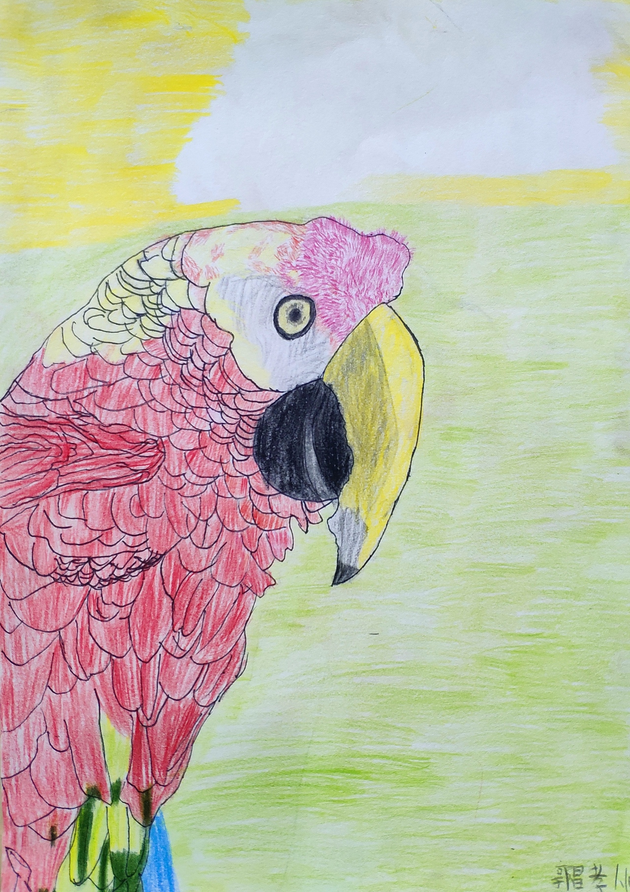 陈子画室 星沙画室 长沙县画室长沙画室 素描 油画漫画