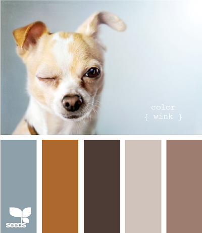 美丽的配色卡啊——04