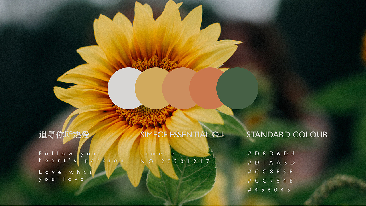 追寻你所热爱——兹宓精油品牌设计