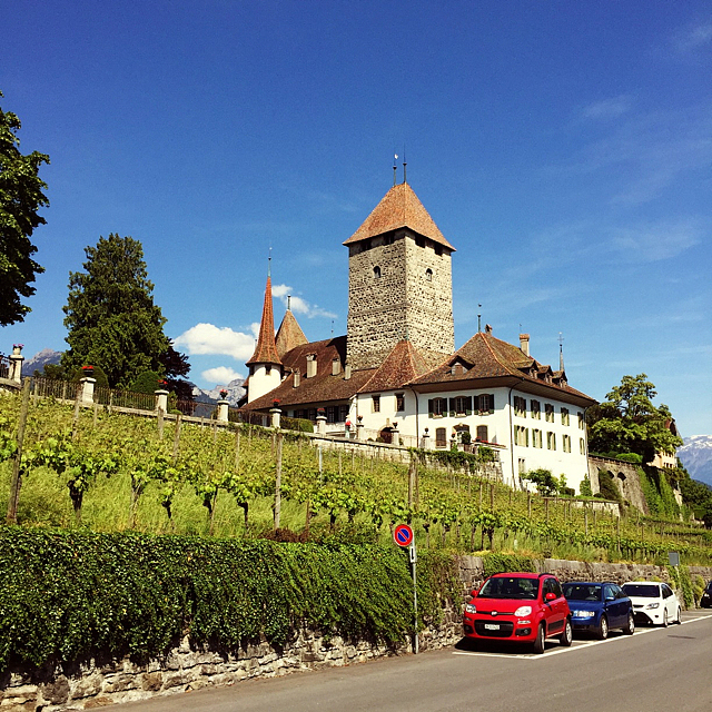 施皮茨城堡,其实不像城堡