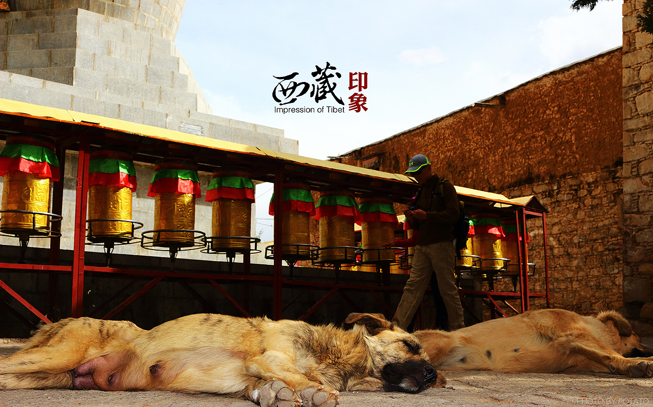 【旅途乱拍】西藏印象二（图ZNDE3MDA4NDA=） - 风光摄影 - 站酷设计师Mr_Potato原创素材 - 站酷ZCOOL