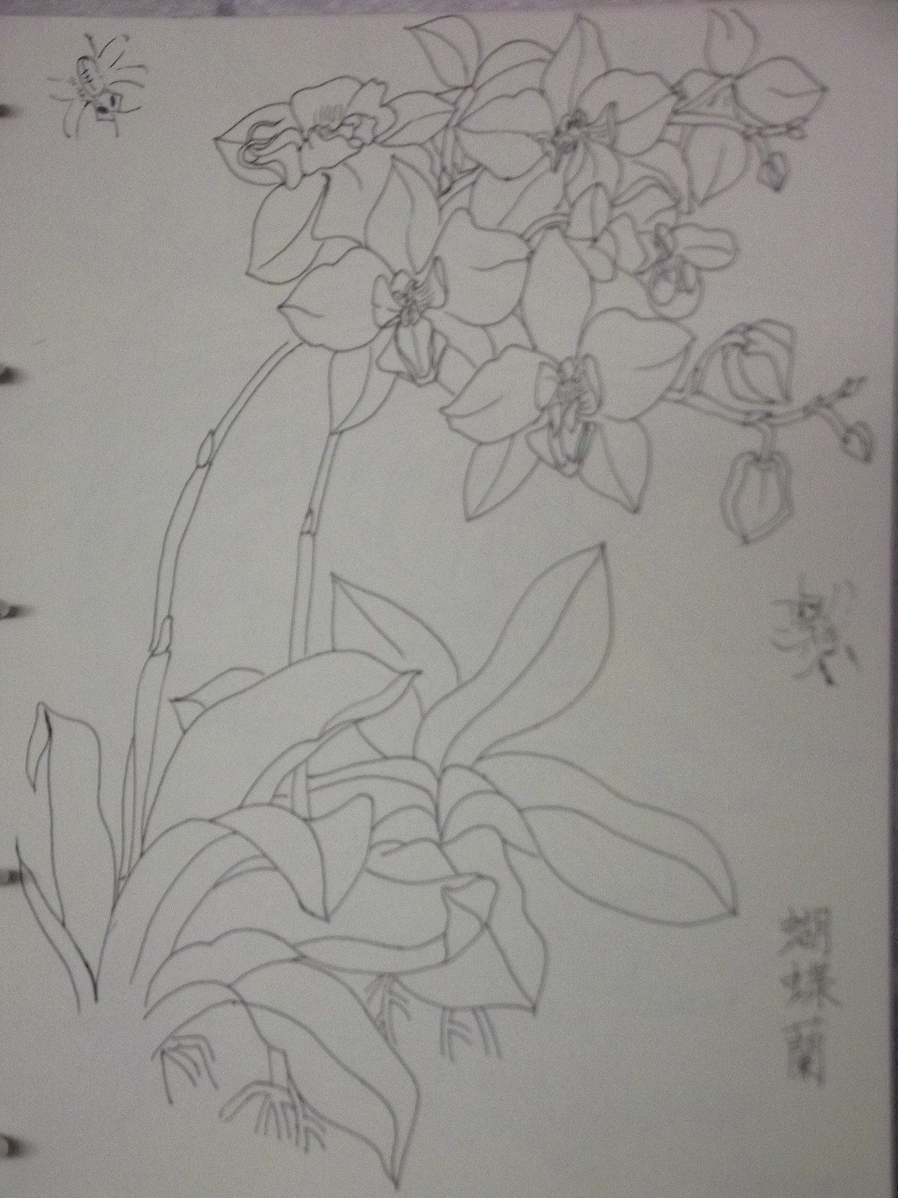 钢笔速写（图ZNTk1NjMyOTI=） - 艺术插画 - 站酷设计师甲甲玲原创素材 - 站酷ZCOOL