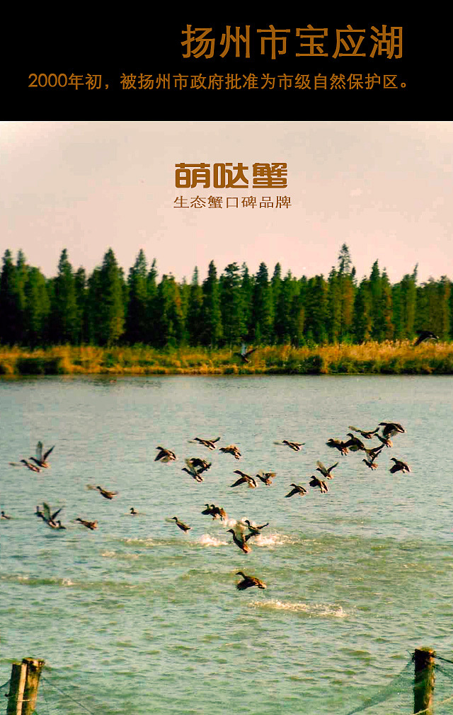 萌哒蟹 微信品牌全套（图ZMjE5OTY0NDQ=） - 其他网页 - 站酷设计师thisin原创素材 - 站酷ZCOOL
