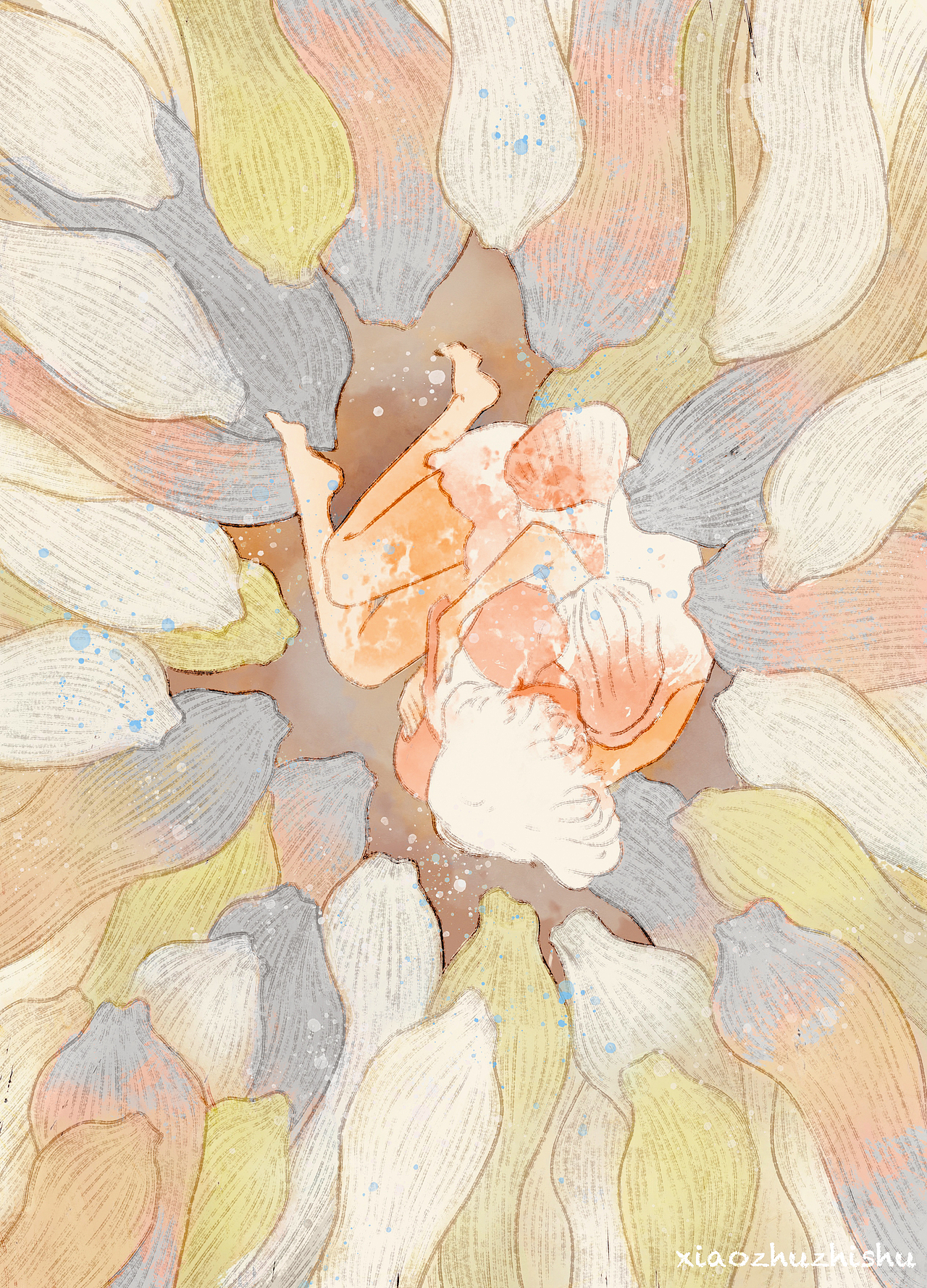 云养海缸随笔记