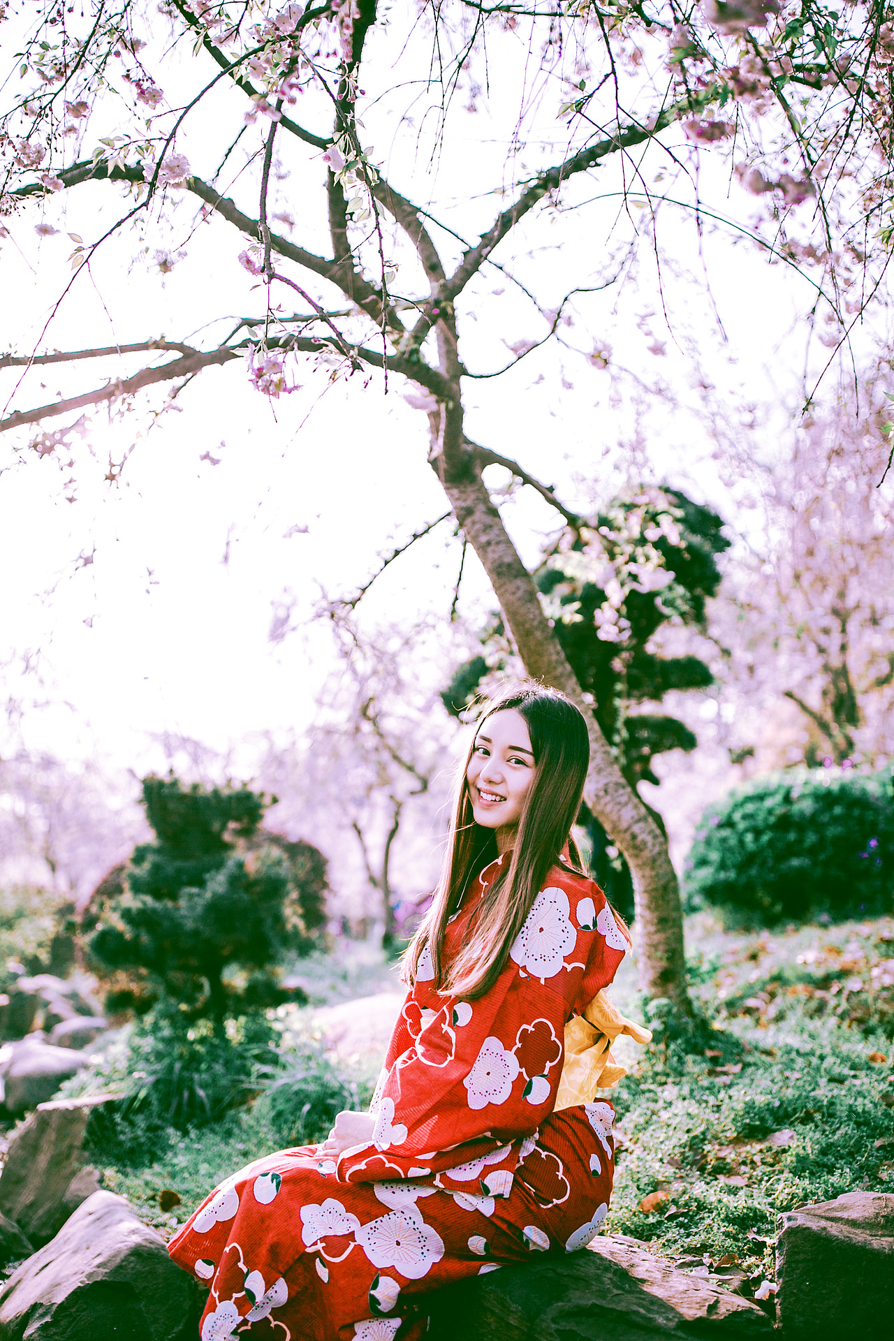 【春の颜】樱花和服写真