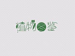 节日
