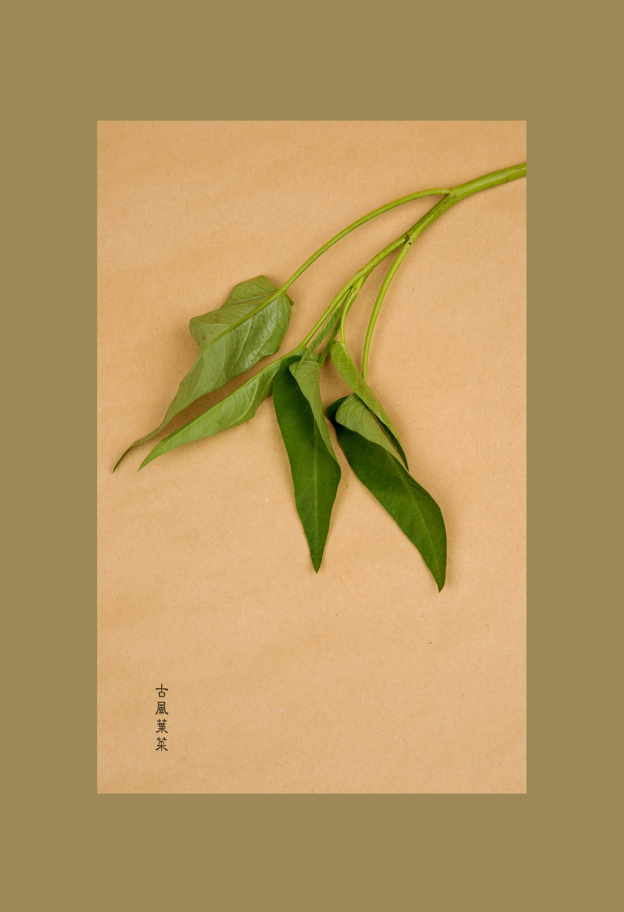 古風(fēng)食意（圖ZNjE4MDI4NzI=） - 產(chǎn)品攝影 - 站酷設(shè)計(jì)師蔣小那原創(chuàng)素材 - 站酷ZCOOL