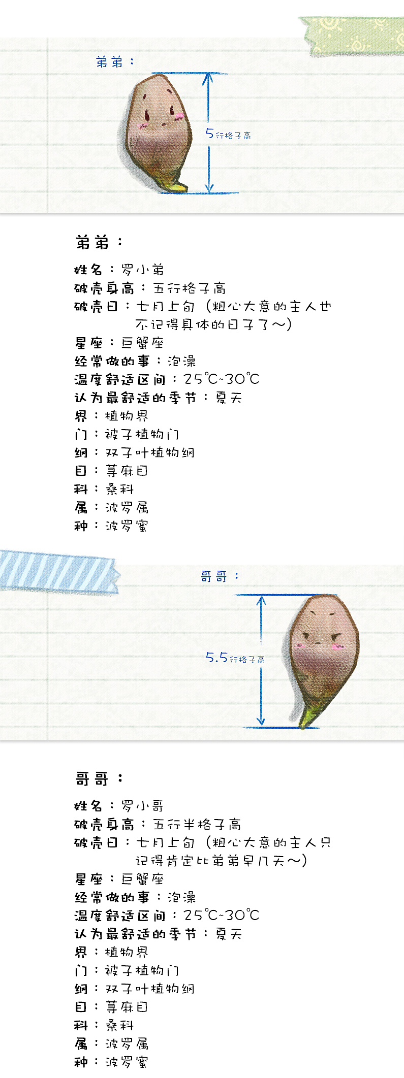 小不坏的菠萝蜜-从你好开始