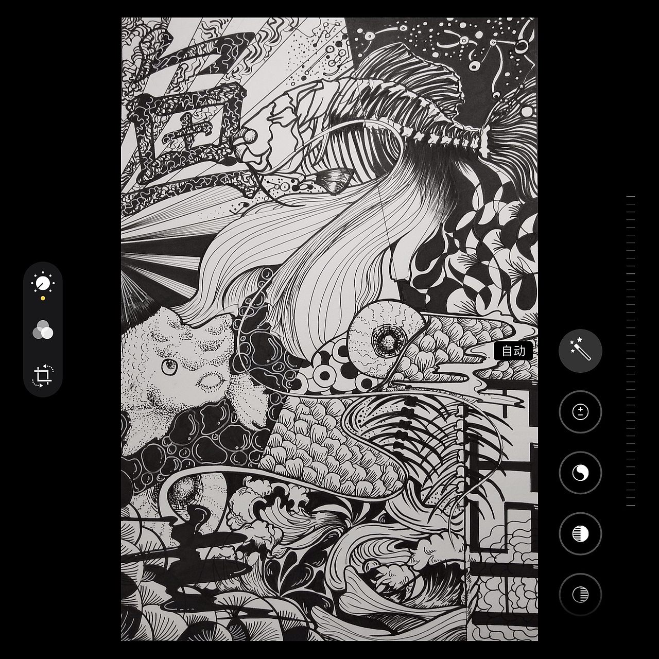 黑白•平面构成「鱼」（图ZMjMyNzQ4MDg0） - 创作习作 - 站酷设计师胡胡hufuhu原创素材 - 站酷ZCOOL
