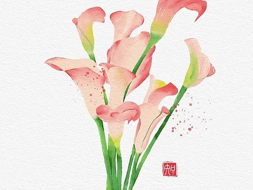 水彩花卉：粉色百合（个人主页-ZNjUwOTA1MzI=） - 艺术插画 - 站酷设计师机器修勾原创素材 - 站酷ZCOOL