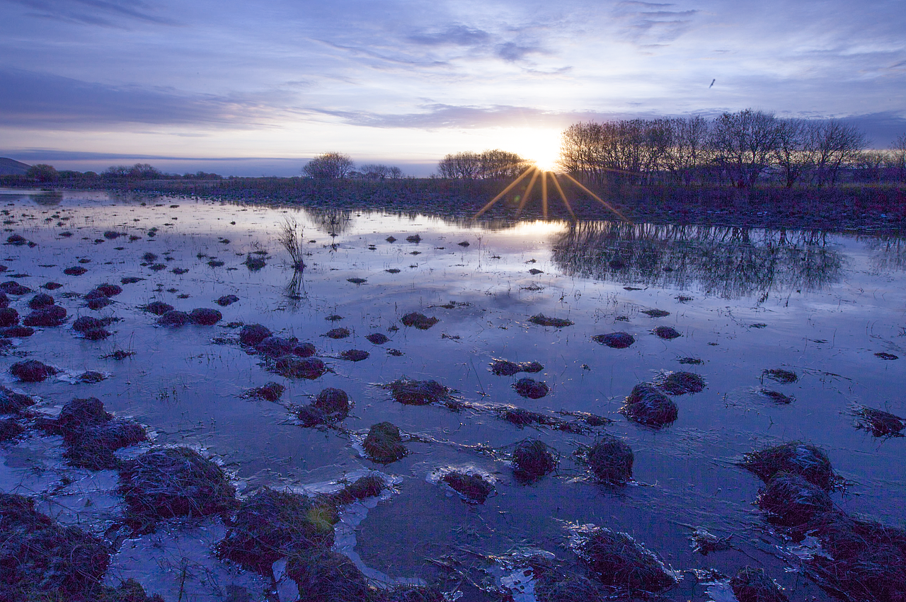 调色练习（图ZMTM3NDEyNjMy） - 其他 - 站酷设计师Shadowiris原创素材 - 站酷ZCOOL