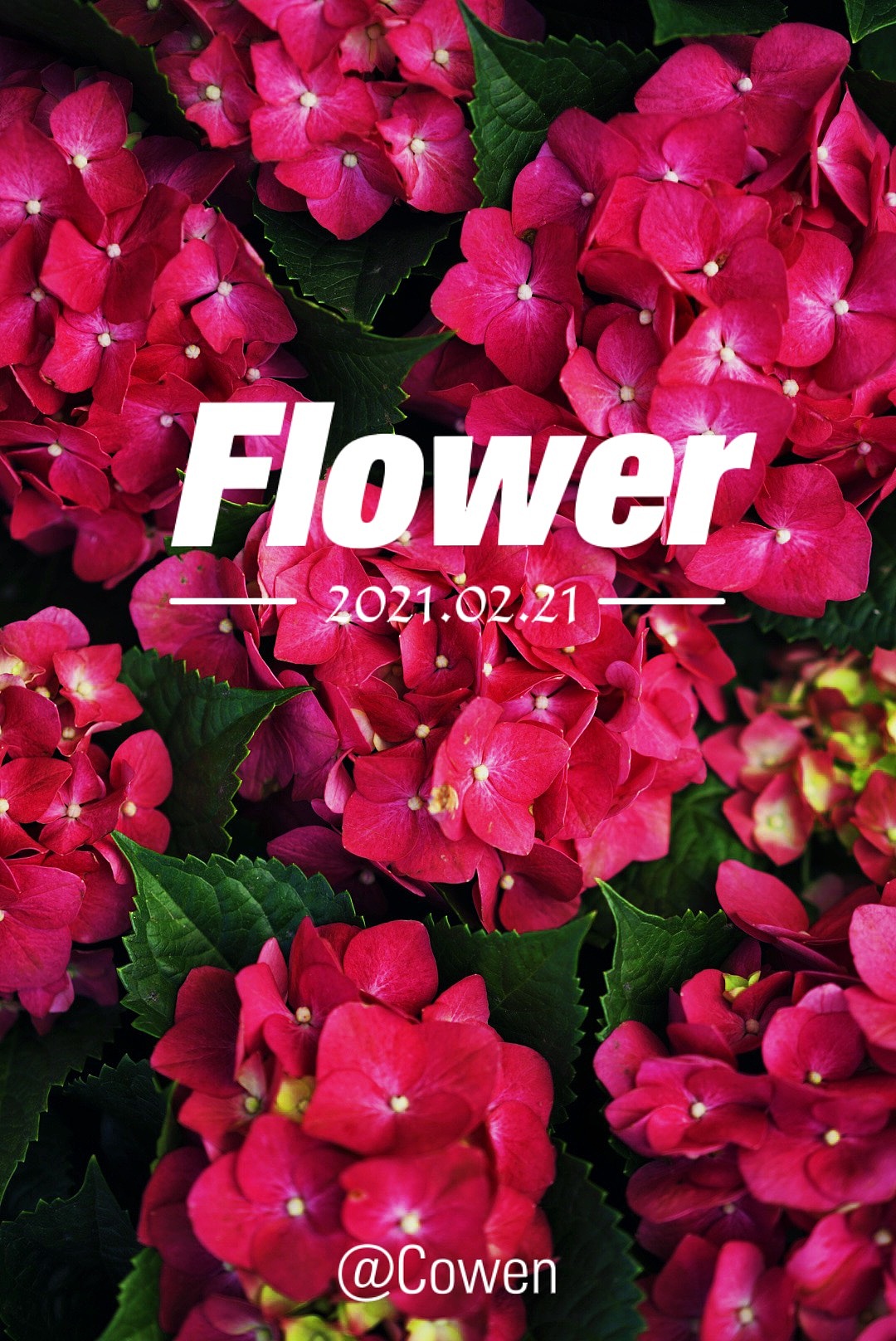 摄影-摄影排版（图ZMjQzMzc5OTc2） - 产品摄影 - 站酷设计师Cowen顺子原创素材 - 站酷ZCOOL