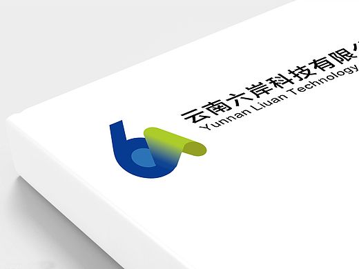［ VI 视觉识别 ］云南六岸科技有限公司