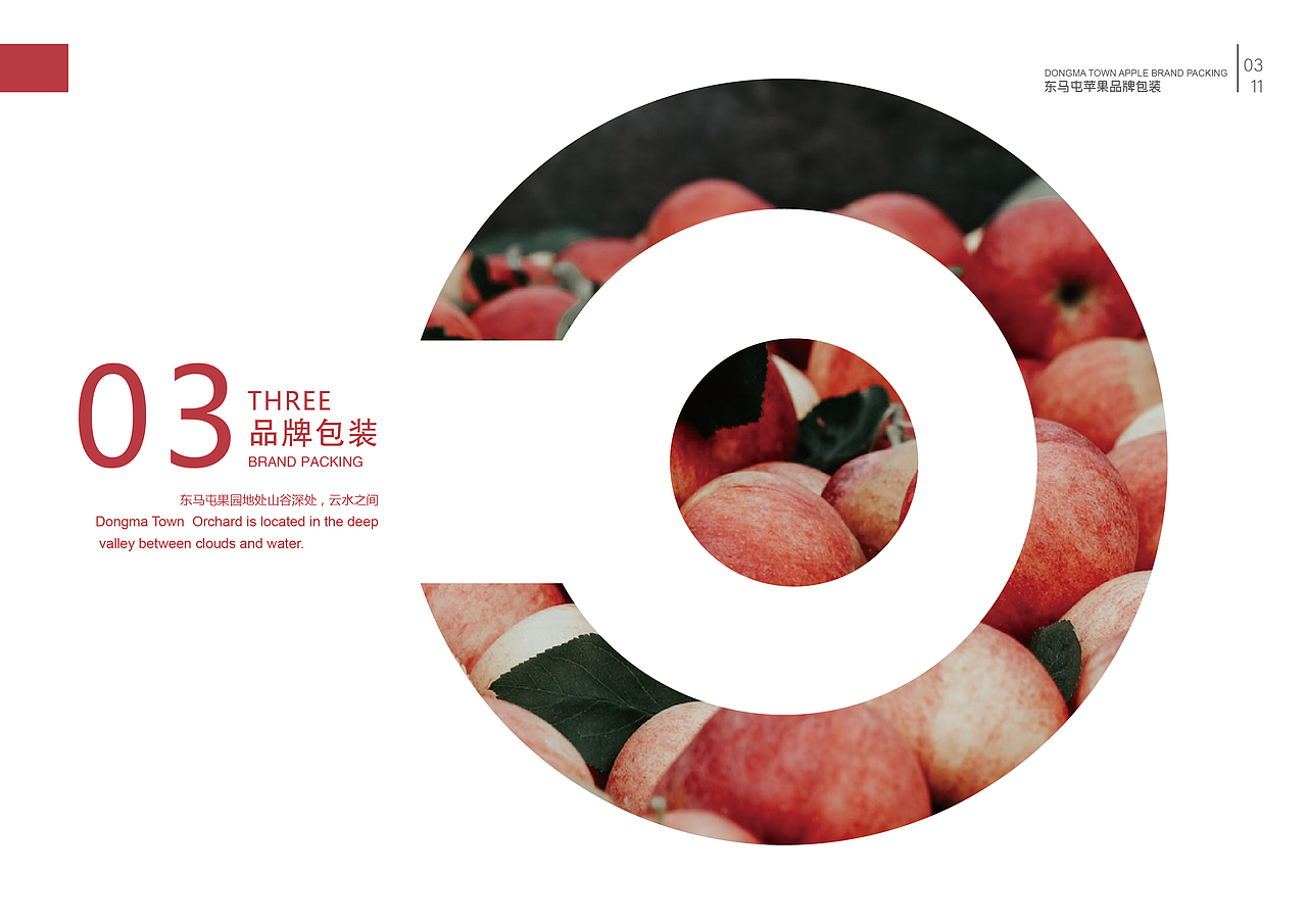 毕业手册（图ZMTY4OTc5MDE2） - 书籍/画册 - 站酷设计师zln张丽娜原创素材 - 站酷ZCOOL