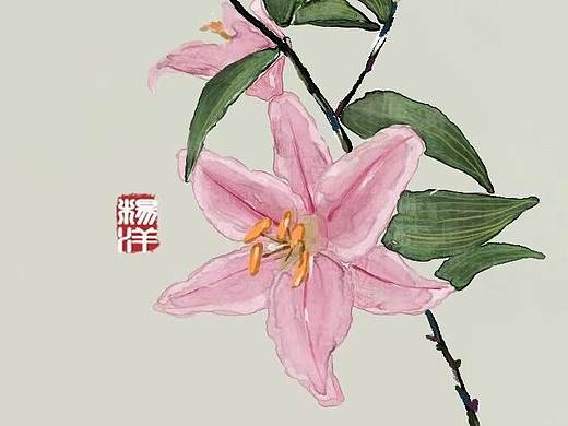 百合插画