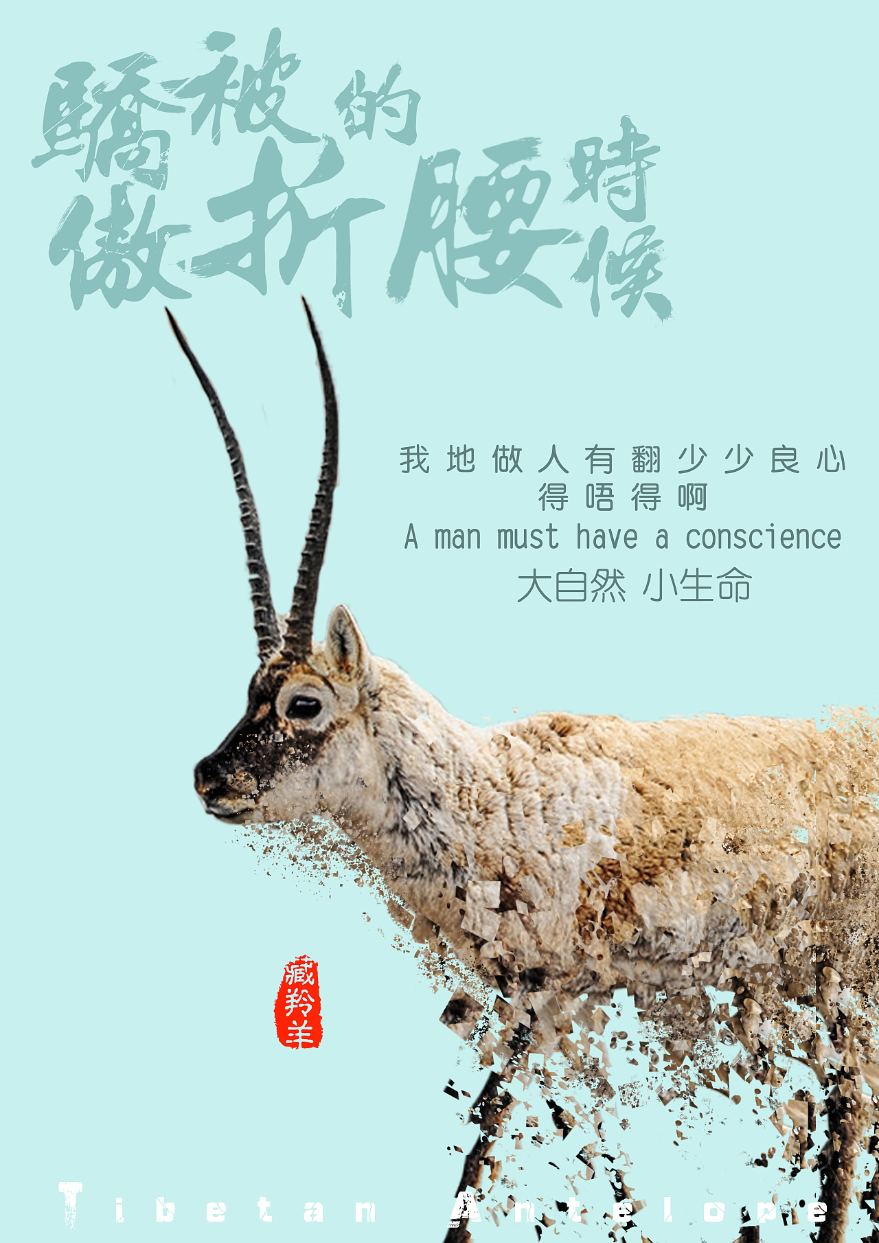 原创动物公益海报