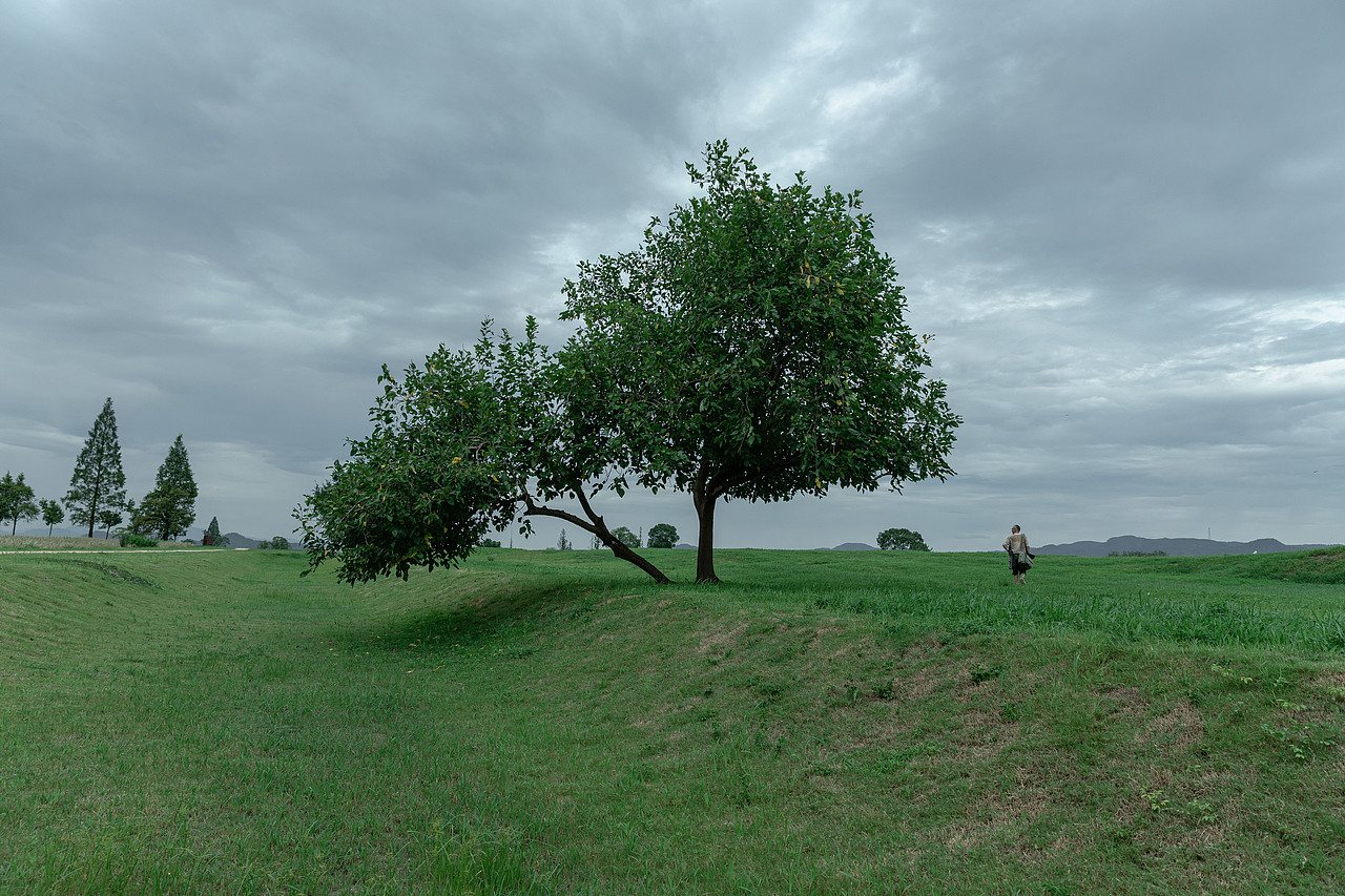 杭州·良渚·初秋